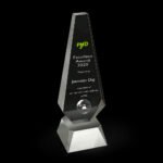 Excellence Award