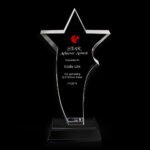 Star Achiever Award